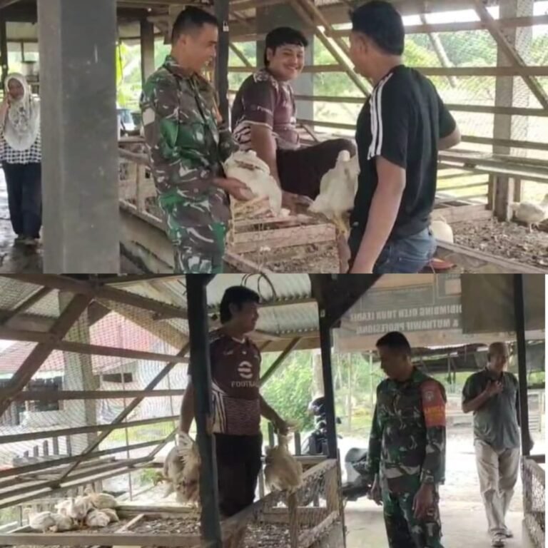 Stabilitas Harga Pangan Jadi Perhatian, TNI Turun Langsung ke Pasar Pante Ceureumen
