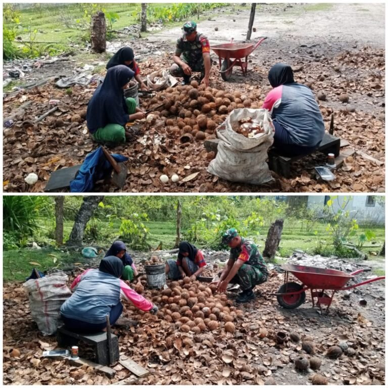 Dukung Usaha Kopra Rakyat, Babinsa Turun Langsung Kupas Kelapa Bersama Warga Simeulue