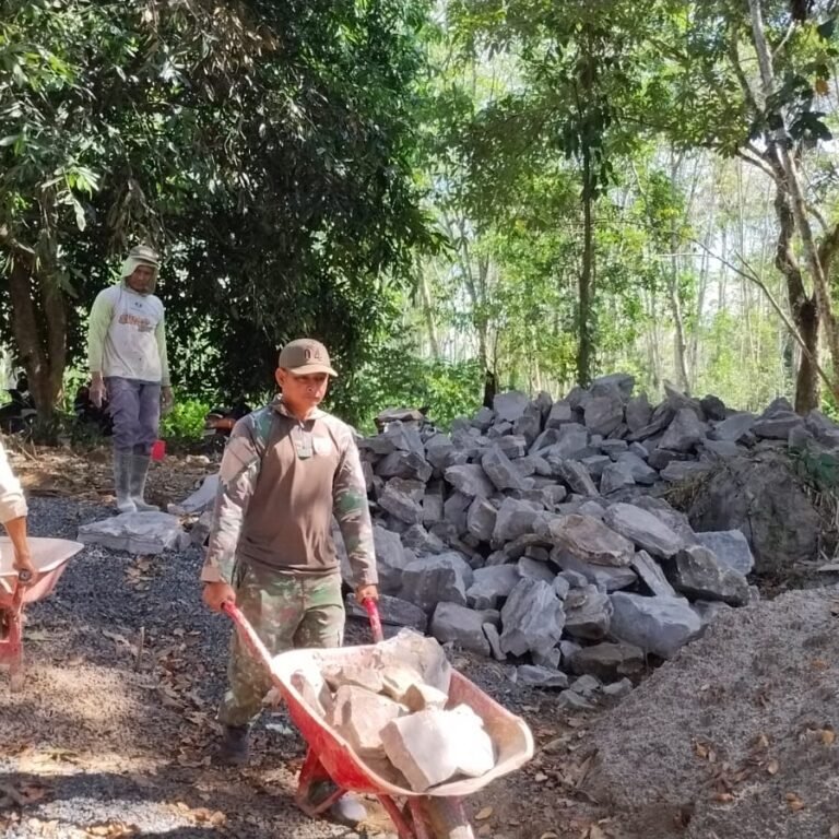 Pembangunan Jembatan Garuda Dipercepat, TNI dan Warga Kompak Bangun Infrastruktur Desa