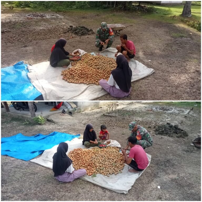 Kehadiran Babinsa di Tengah Pengolah Pala Percepat Pekerjaan dan Pererat Silaturahmi