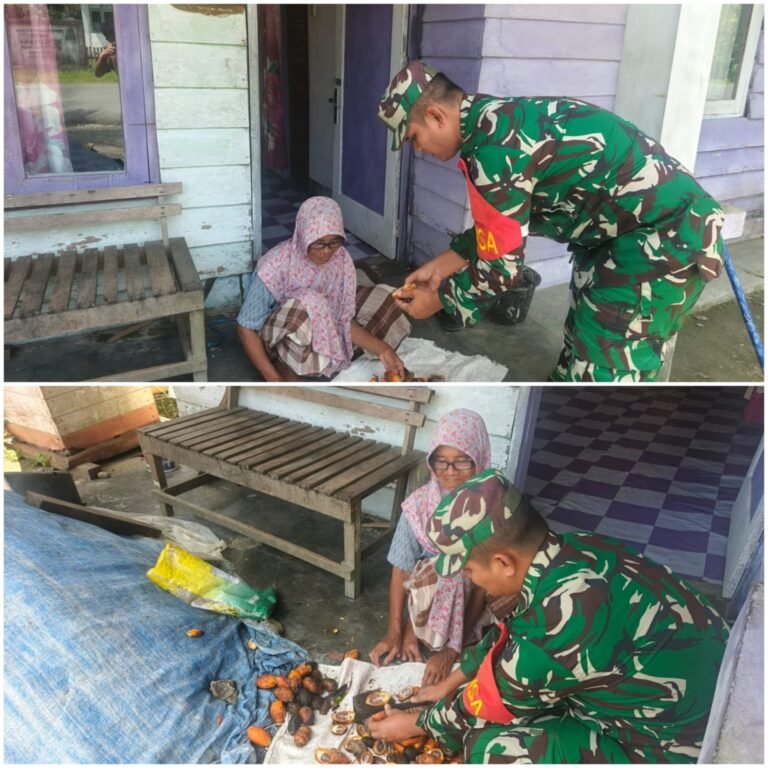 Dukung Kesejahteraan Warga, Babinsa Teluk Dalam Aktif Bantu Aktivitas Pertanian Pinang