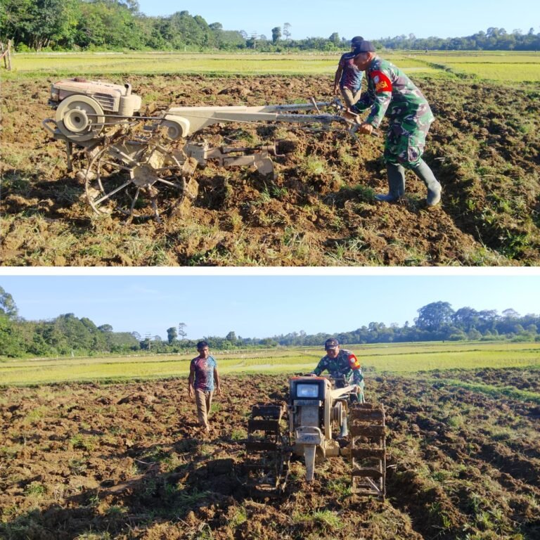 Babinsa Kodim 0105/Aceh Barat Kawal Percepatan Tanam Demi Swasembada Pangan