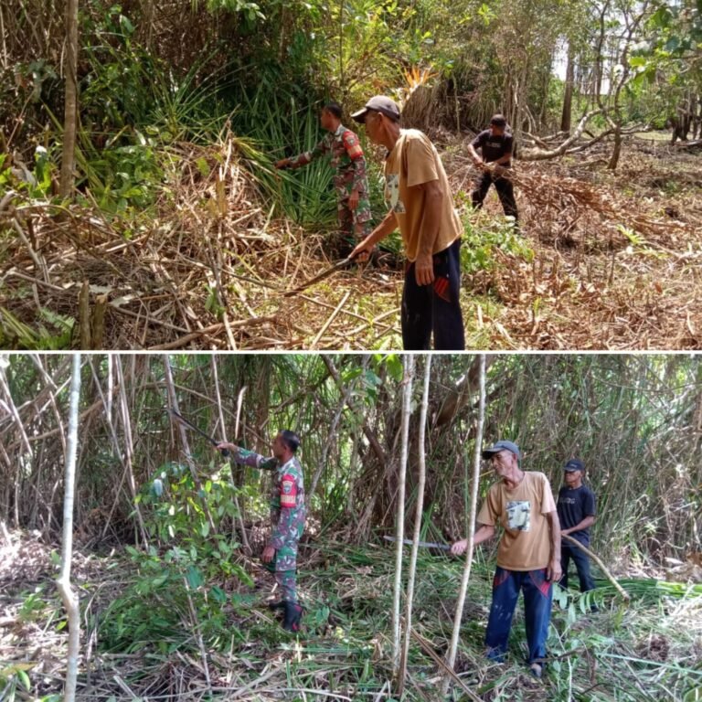 Tingkatkan Produksi Pangan, Babinsa Aktif Bantu Pengelolaan Lahan Warga