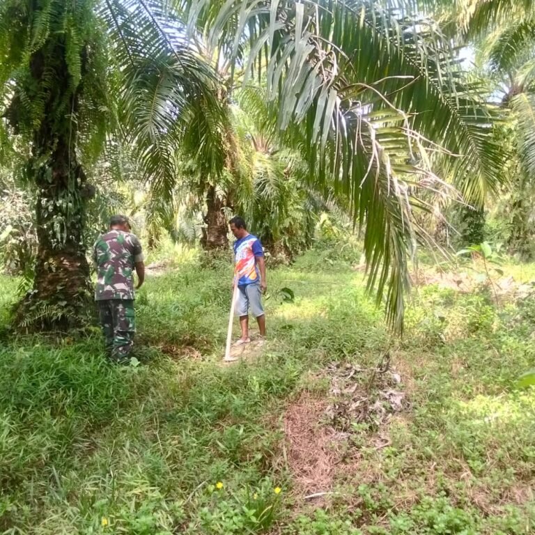 Babinsa Panga Intensifkan Patroli Karhutla dan Banjir, Warga Diimbau Tidak Membakar Lahan