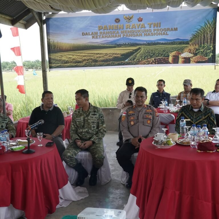 Kolonel Inf Windarto Pimpin Panen Raya 40 Hektare Padi Bersama Forkopimda Nagan Raya