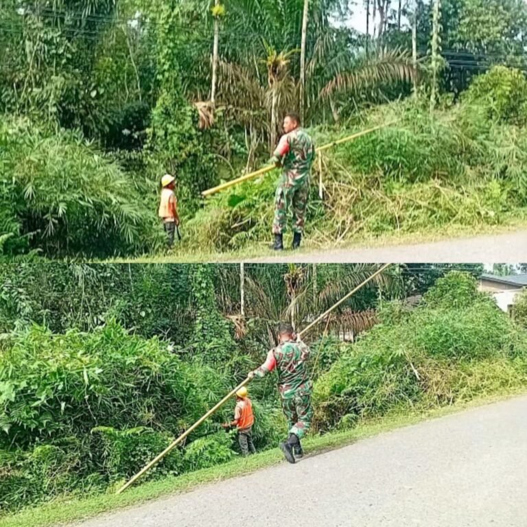 Babinsa Aceh Barat Dukung PLN Lakukan Penebangan Pohon di Sekitar Kabel Listrik