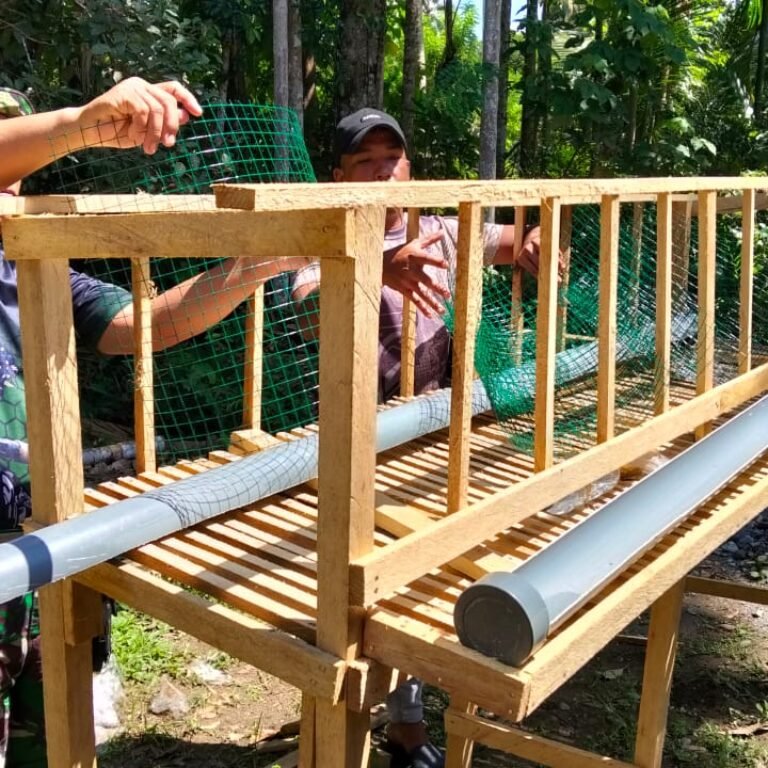 Pembangunan Kandang Ayam Petelur TMMD Ke-129 Kodim 0114/Aceh Jaya Tunjukkan Progres Positif