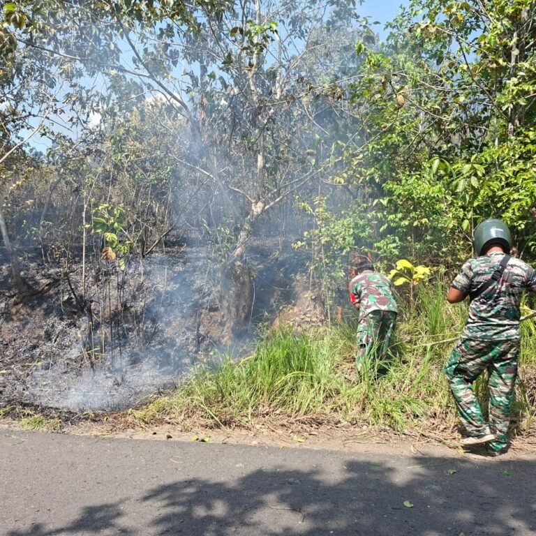 Karhutla di Desa Ambutun Berhasil Dikendalikan, Babinsa dan Tim Gabungan Lakukan Pendinginan