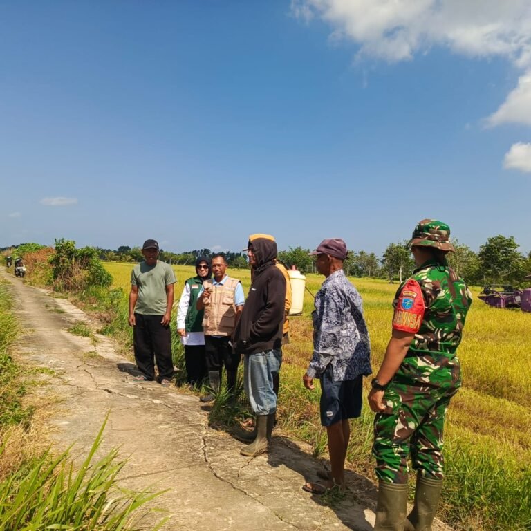 Babinsa Koramil 1203-13/Matan Hilir Selatan Perkuat Sinergi dengan PPL dan Warga, Dorong Ketahanan Pangan serta Cegah Karhutla