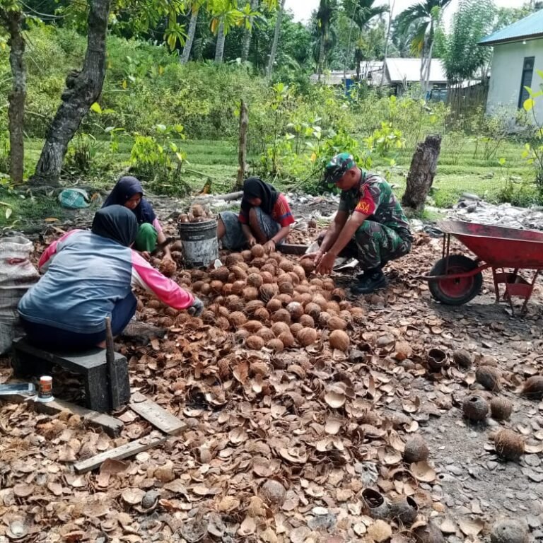 Kupas Kelapa Bersama Warga, Babinsa Kodim 0115/Simeulue Dukung Peningkatan Ekonomi Desa