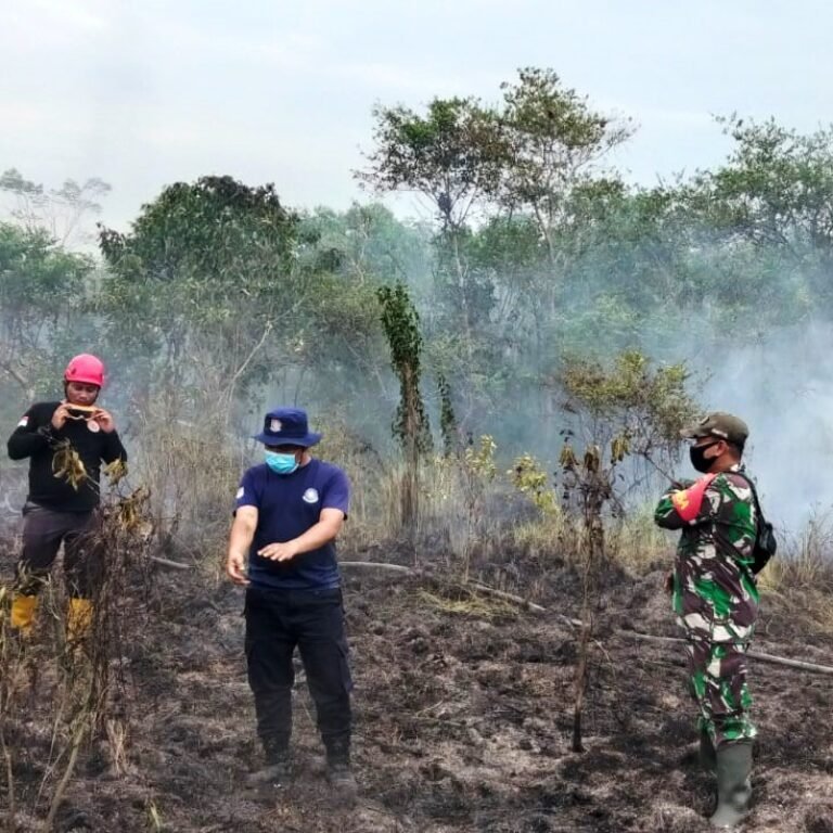 Hotspot Muncul di Simpur, Tim Gabungan Peduli Api Sigap Bersama Babinsa Lakukan Pemadaman