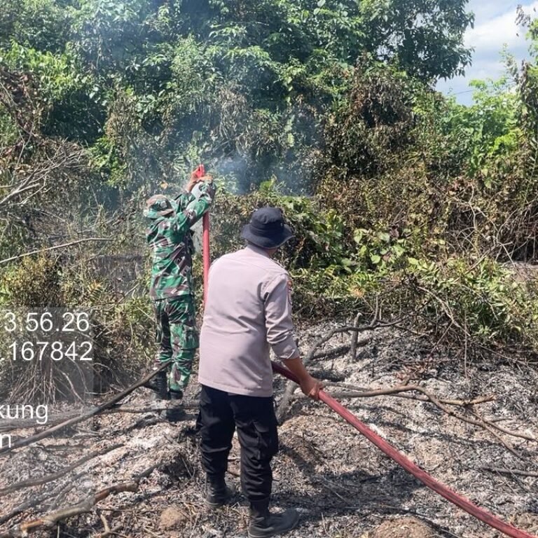 Gerak Cepat Koramil 1010-01/Bungur dan BPBD Amankan Lokasi Kebakaran Lahan