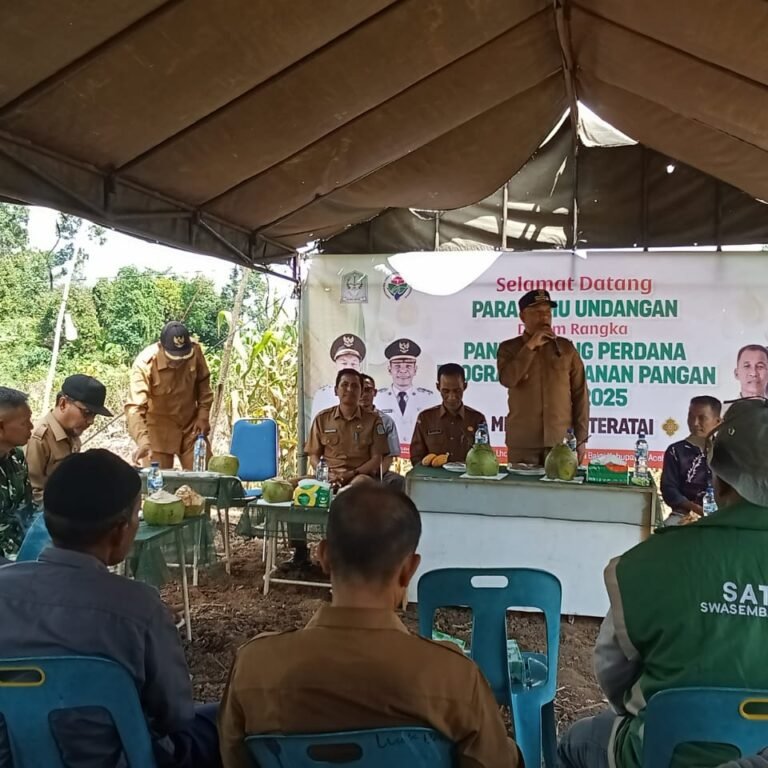 Danramil 03/Setia Bakti Hadiri Panen Jagung Perdana Program Ketahanan Pangan di Aceh Jaya
