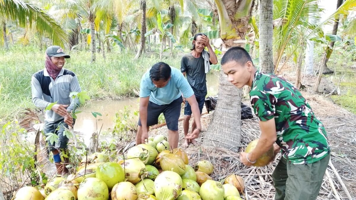 Percakapan di Kebun Kelapa, Kopda Dede Bangun Kepercayaan Warga Tamban Bangun