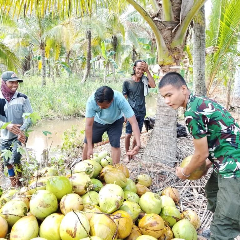 Percakapan di Kebun Kelapa, Kopda Dede Bangun Kepercayaan Warga Tamban Bangun