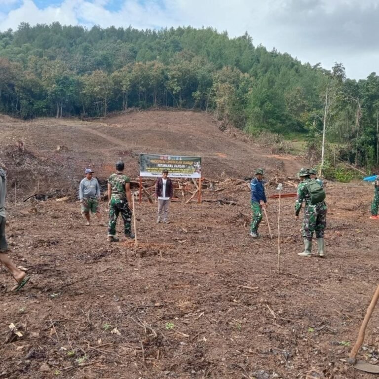 From Lubang to Orchard: Penanaman Alpukat di Batulappa untuk Ketahanan Pangan Desa Langi