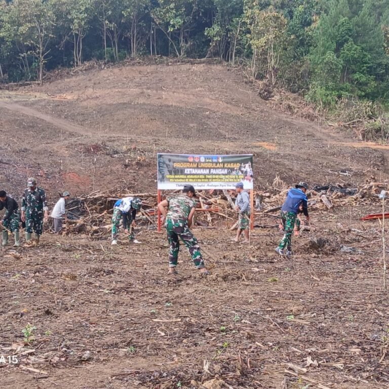 Persiapan Lahan Alpukat di Desa Langi Jadi Bagian Program TMMD