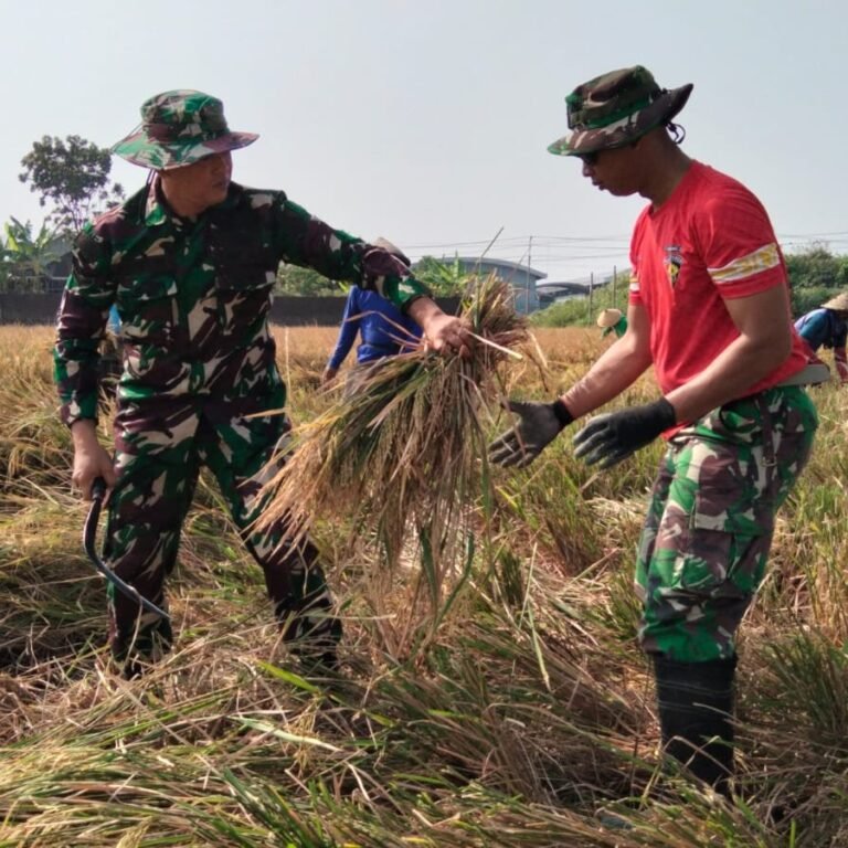 Tenaga tambahan Satgas TMMD percepat pengumpulan gabah di Parangjoro
