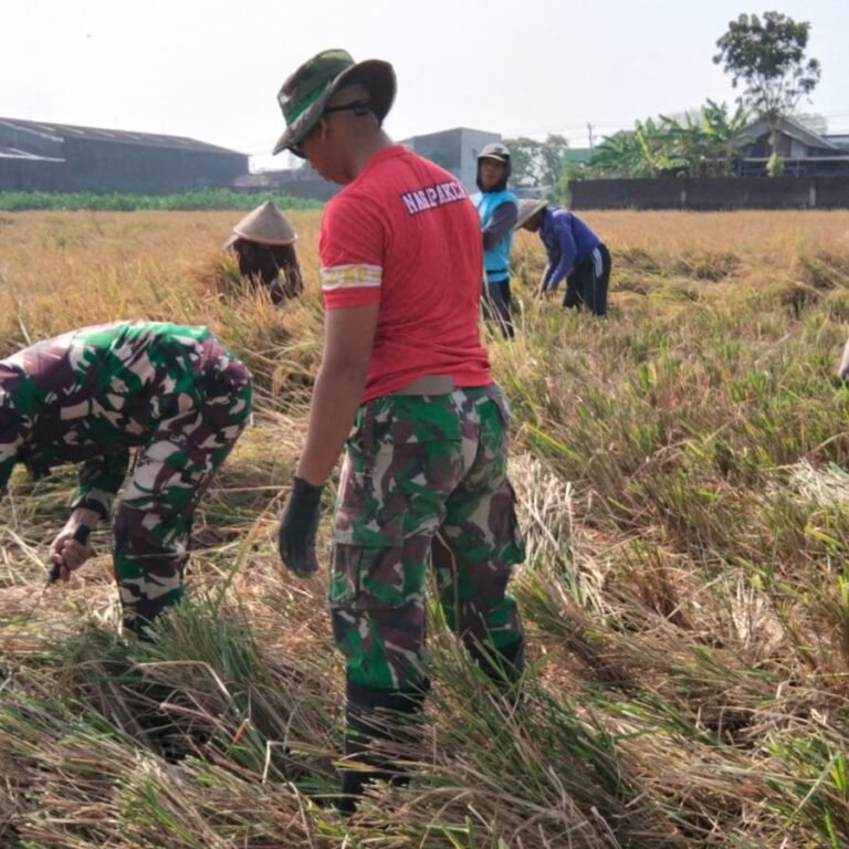 Prajurit Turun ke Sawah, Petani Parangjoro Rasakan Semangat Baru