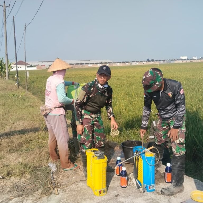 Desa Parangjoro Grogol Jadi Sasaran Pengendalian Gulma TMMD
