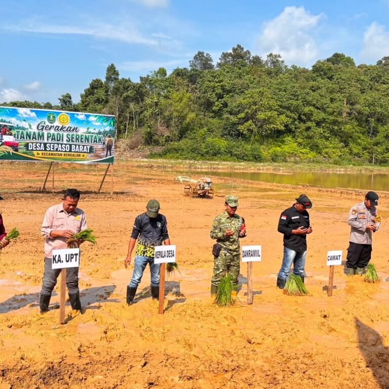 Serma Bambang AK Mewakili Danramil pada Kegiatan Cetak Sawah Rakyat di Bengalon