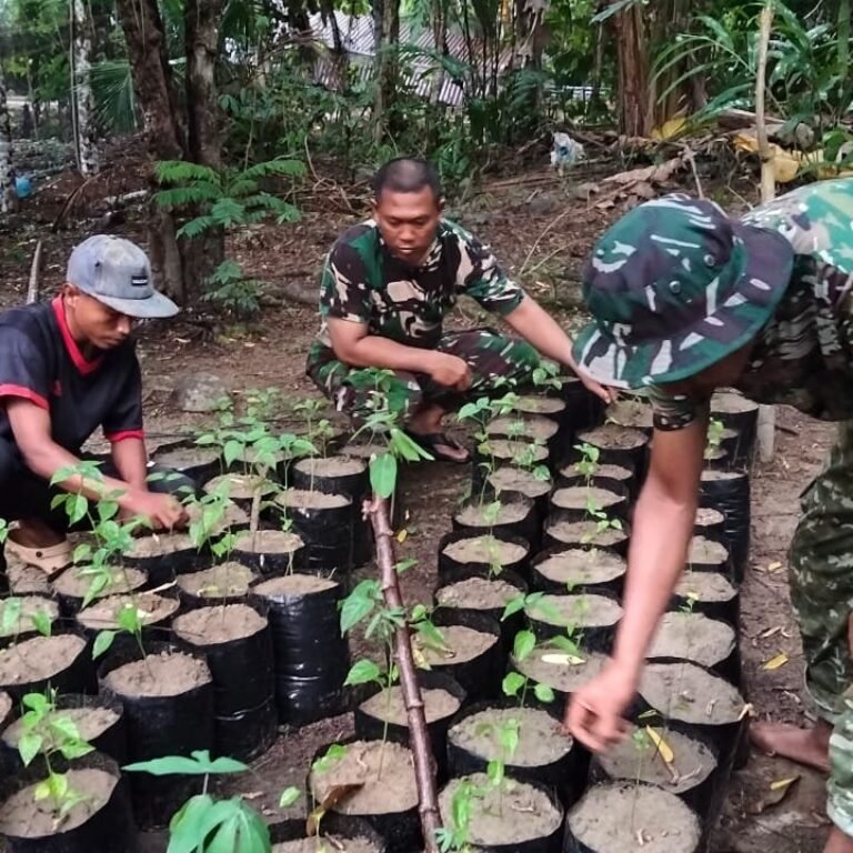 Desa Sarah Raya Tempat Pemeliharaan Tanaman Cabai oleh Program TMMD Ke-129