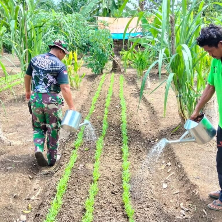 Anggota Satgas TMMD Serka Syamsul H dan Warga Rawat Kangkung di Kecamatan Pasie Raya