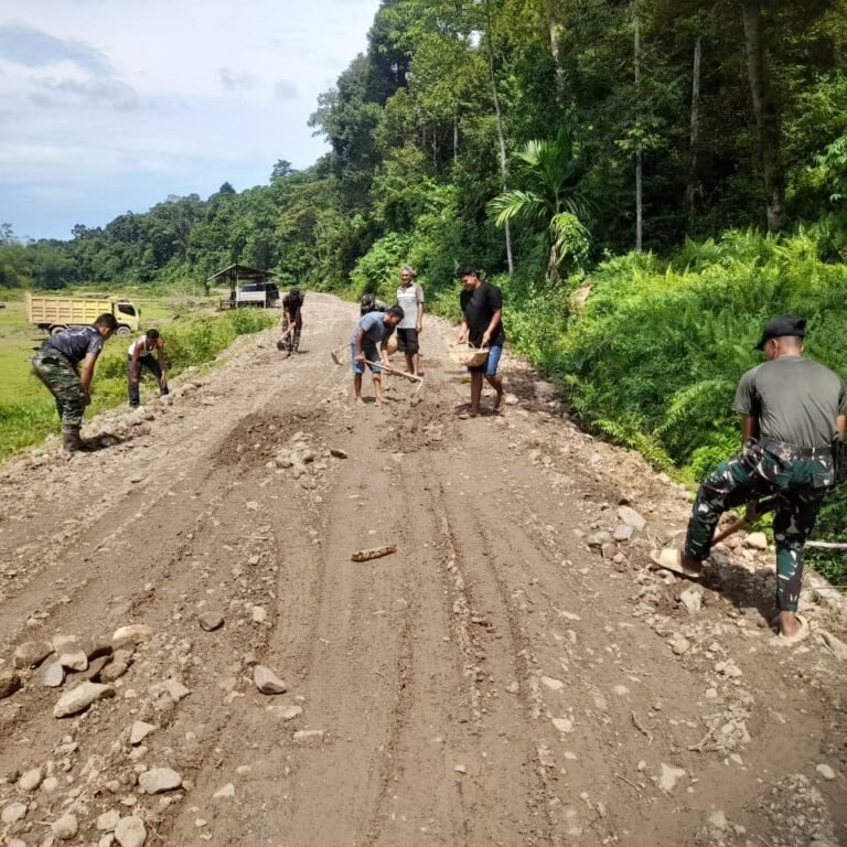 Pekerjaan Meratakan Tanah Timbunan Jalan TMMD di Desa Sarah Raya Dikerjakan Warga dan Satgas