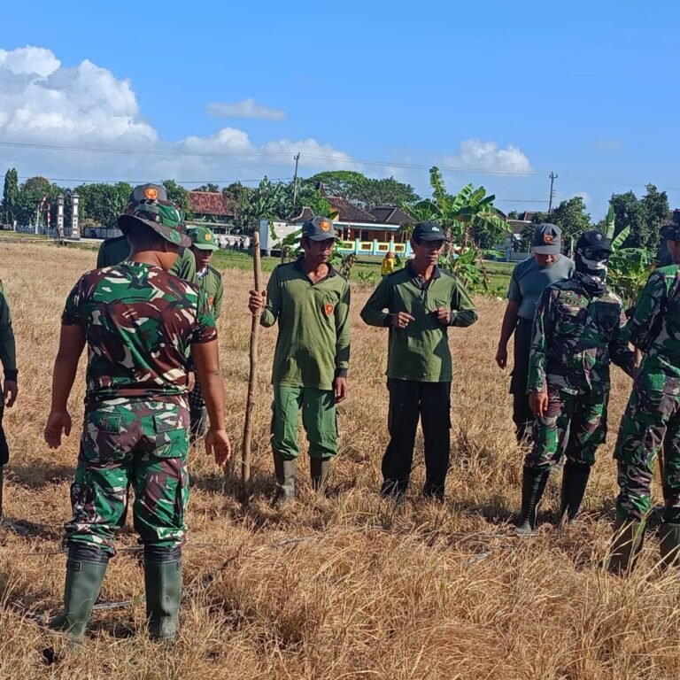 Penanaman Benih Jagung di Lahan Kas Desa Parangjoro, Inisiatif Satgas TMMD Reguler ke-129 Sukoharjo
