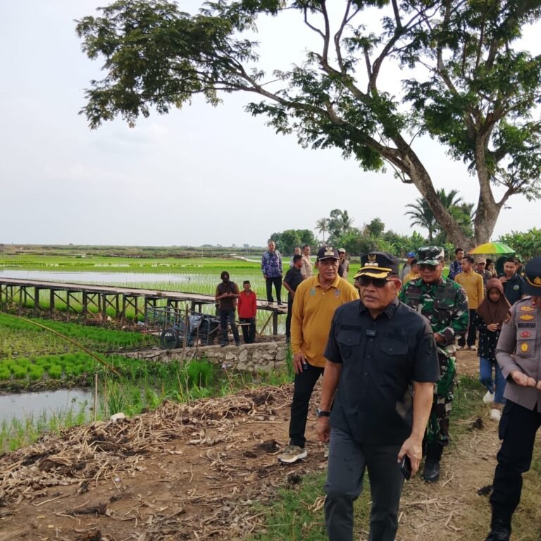 Tanam Perdana Musim Kemarau Kedua Digelar di Desa Manarap Hulu, Dihadiri Perwakilan Kodim