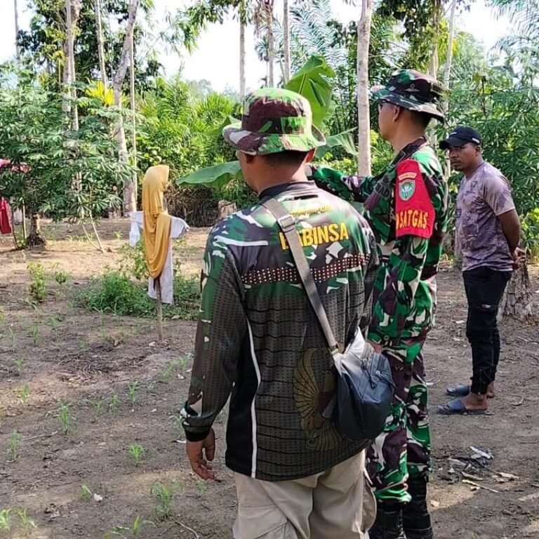 Program TMMD Reguler Ke-129: Kodim Aceh Jaya Evaluasi Lahan Jagung Desa Sarah Raya