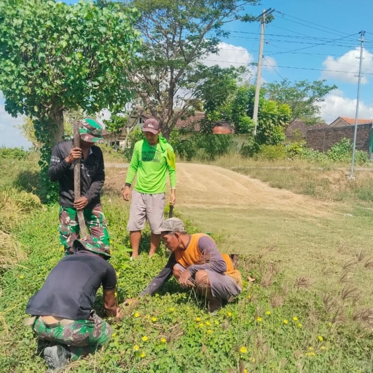 Personel Satgas TMMD dan Warga Grogol Gelar Penanaman Bibit Pohon di Desa Parangjoro