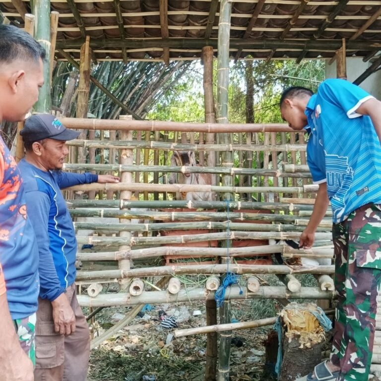 Cerita Peternak Kambing di Parangjoro Menyentuh Hati Personel TMMD