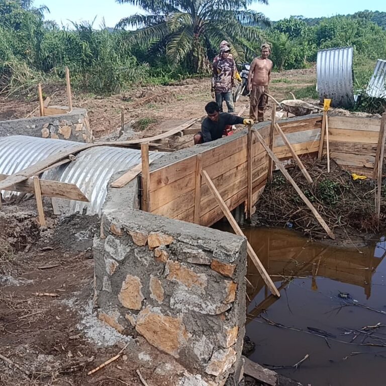 Jembatan Paya Laot Segera Rampung, Warga Nantikan Akses Penghubung Antarwilayah yang Lebih Lancar
