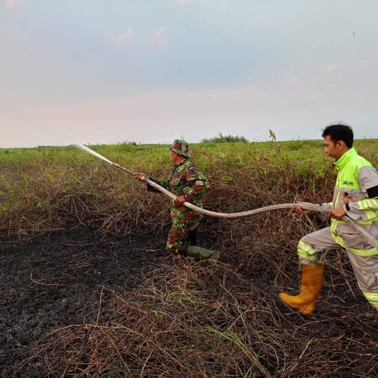 Gerak Cepat Babinsa dan Tim Gabungan Padamkan Karhutla di Sungai Kupang