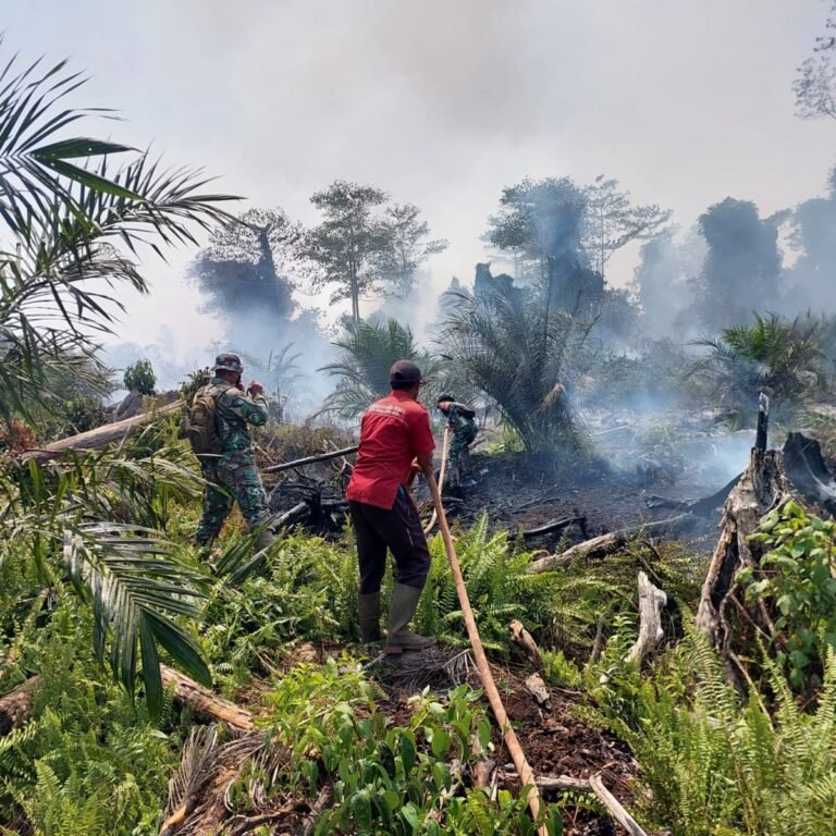 Sinergi TNI-Polri dan Tim Gabungan Gelar Pemadaman Karhutla di Sungai Pelang
