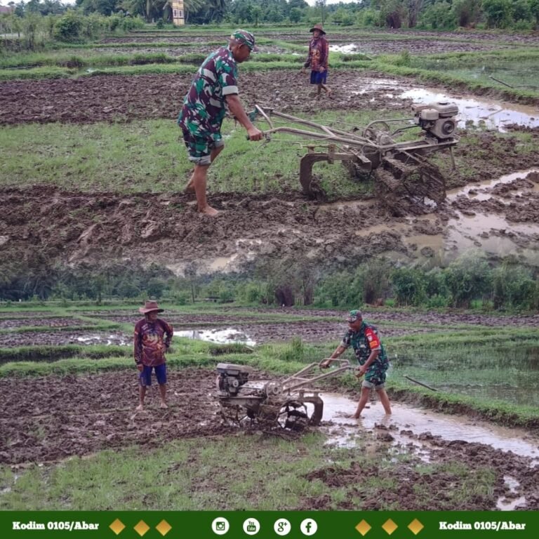 Bukan Sekadar Pendampingan, Babinsa Ikut Turun ke Sawah Bantu Petani Membajak Lahan