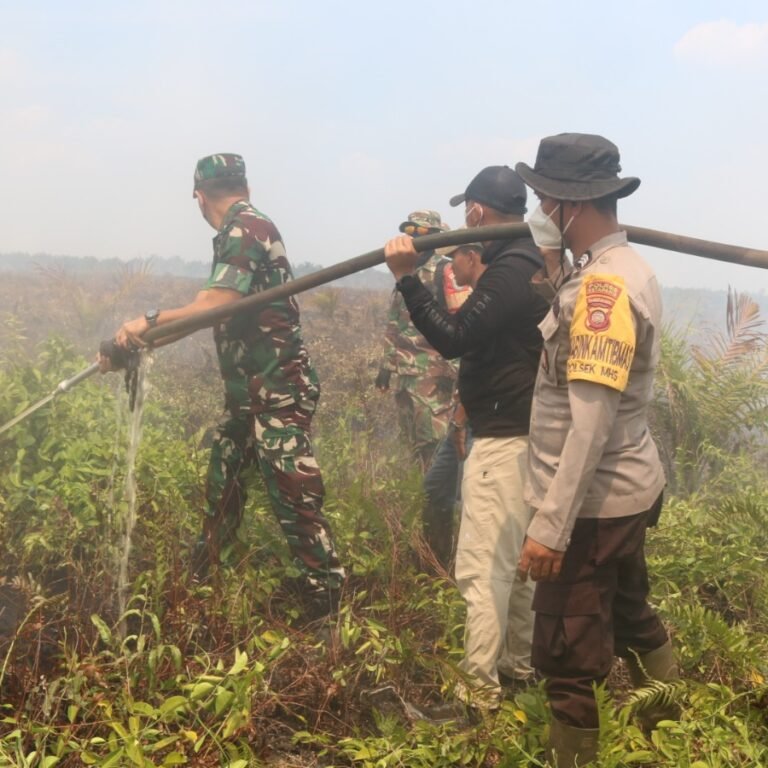 Upaya Bersama, Dandim 1203/Ketapang Pimpin Pemadaman Karhutla di Desa Sungai Pelang