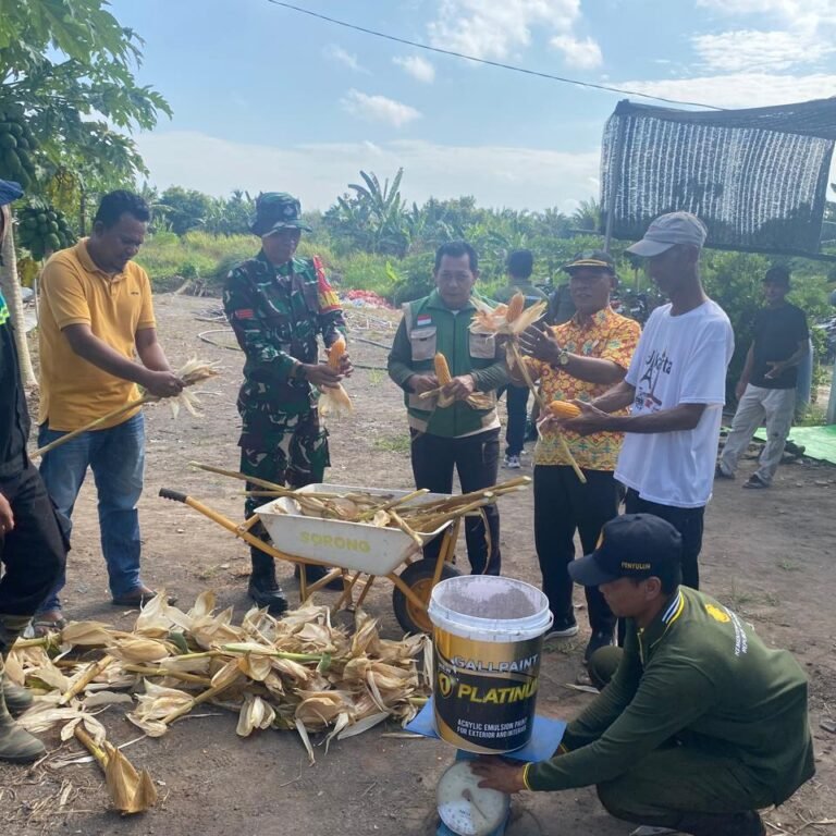 Panen Raya Jagung Di Desa Tempurukan Dukung Ketahanan Pangan