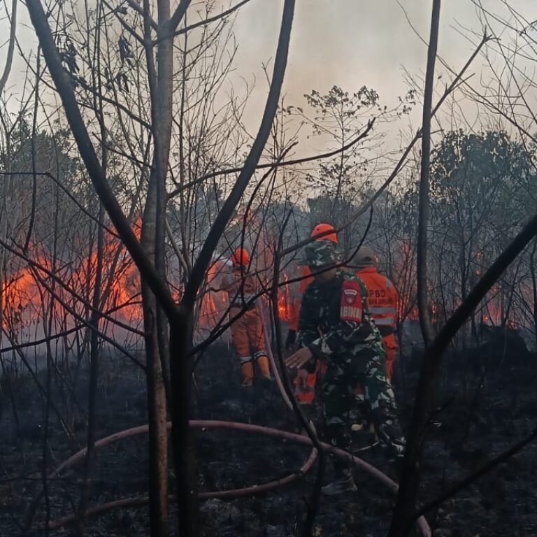 Gerak Cepat Koramil 07/Banjarbaru Tangani Karhutla di Sungai Ulin