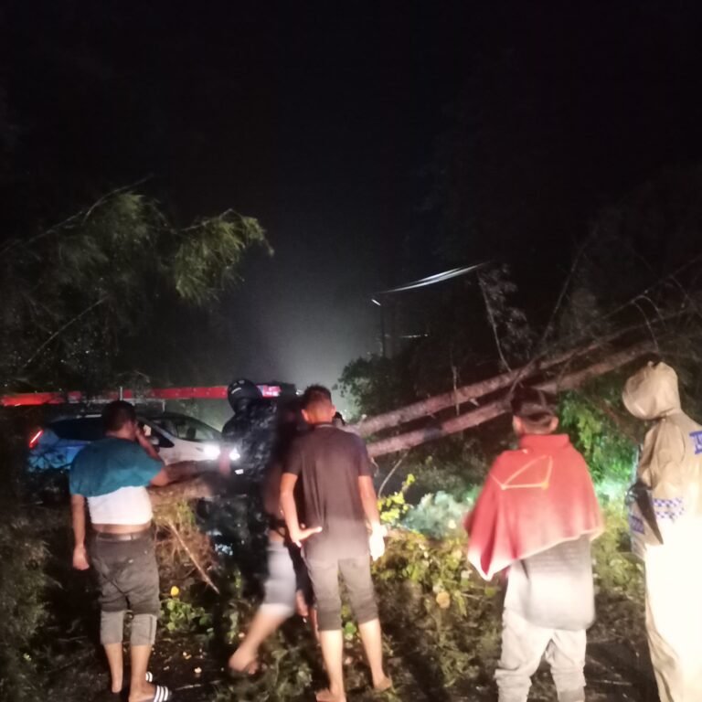 Pohon Tumbang Tutup Akses Jalan, TNI dan Warga Bergerak Cepat Pulihkan Jalur di Cincrang