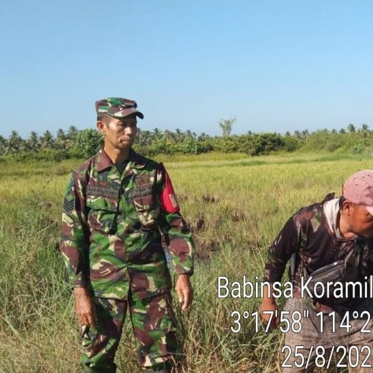 ‎Wujud Kehadiran TNI, Babinsa Koramil 10/Tamban Bantu Petani Pemupukan Program Luas Tambah Tanam‎