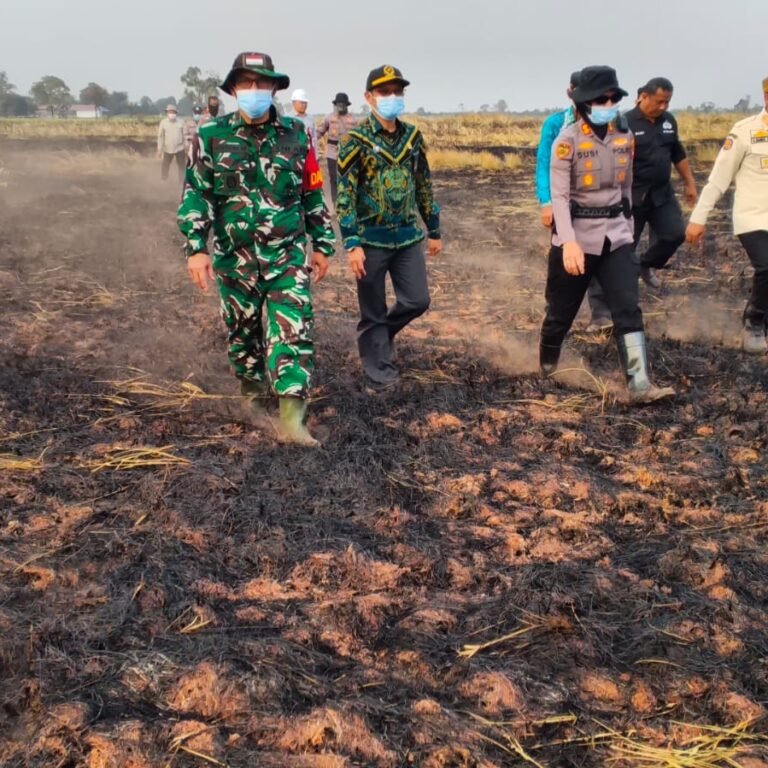 ‎Dandim 1005/Barito Kuala Bersama Forkopimda Tinjau Posko Terpadu Penanggulangan Karhutla