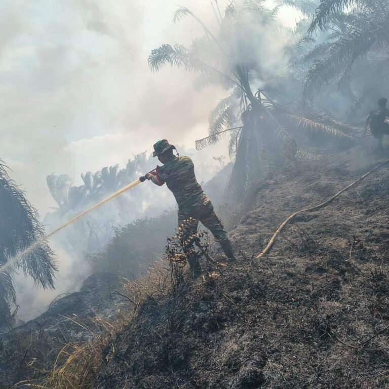 Sinergi Tanggap Bencana, Anggota Koramil 1203-07/Marau Padamkan Karhutla di Desa Tanah Hitam
