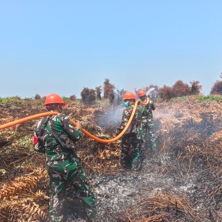 Aksi Heroik Babinsa Koramil 1203-08/Pulau Maya Bersama Instansi Terkait Berjibaku Padamkan Karhutla