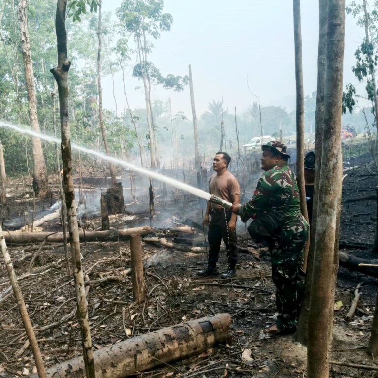 Cegah Api Meluas, Babinsa Koramil Telaga Langsat Bersama Tim Gabungan Padamkan Karhutla