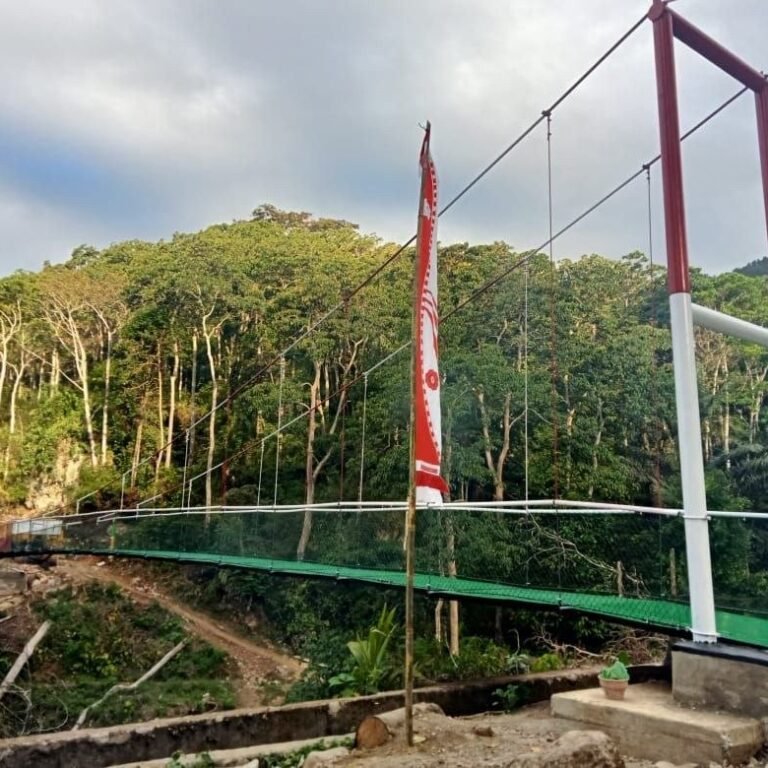 Rampungnya Jembatan Gantung Jawab Kebutuhan Mobilitas Warga Desa