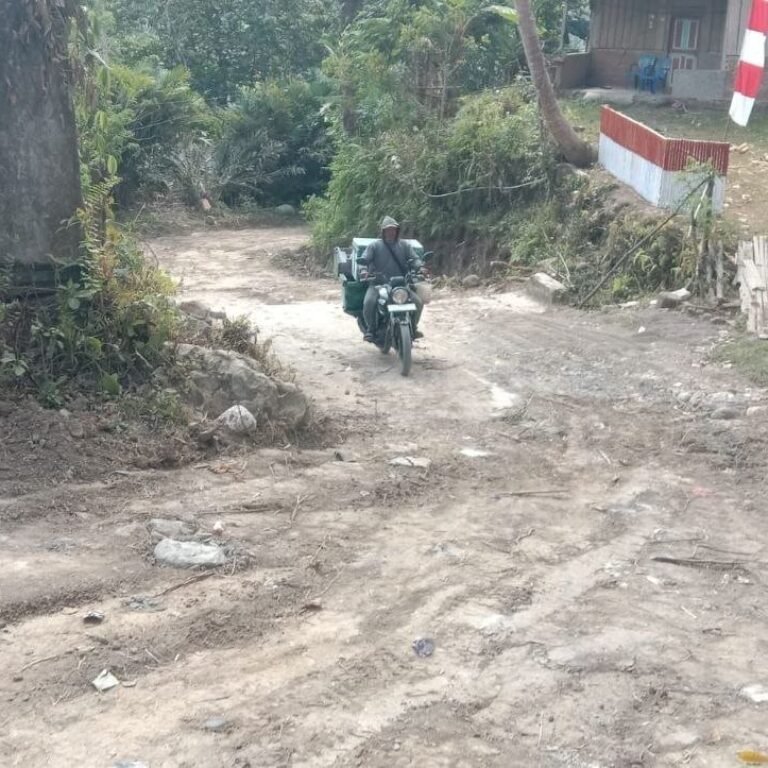 Empat Pilar Jalan dan Satu Dekker: Lima Titik Perbaikan di Desa Pattuku