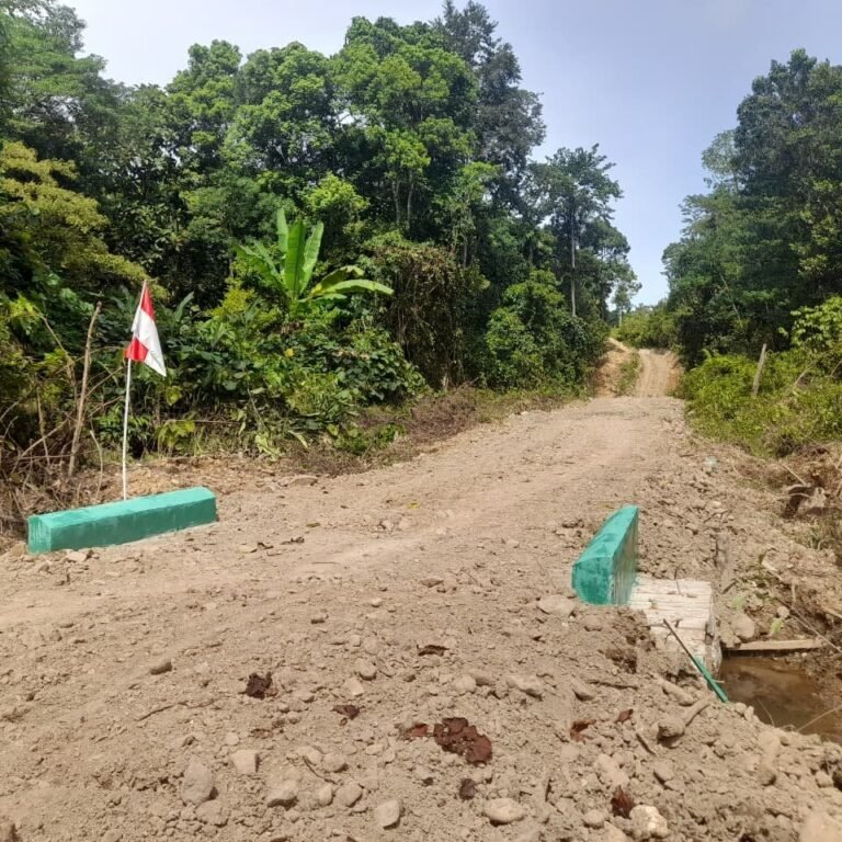 Jembatan Baru di Sarah Raya Rampung, Akses Warga Diperkirakan Lebih Lancar
