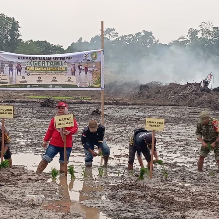 Petani Sepaso Tanam Mikongga di 14,5 Hektare, Strategi Lokal Perkuat Ketahanan Pangan Bengalon
